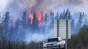 Stora suvar släpper ut CO2 som leder till skogsbränder.