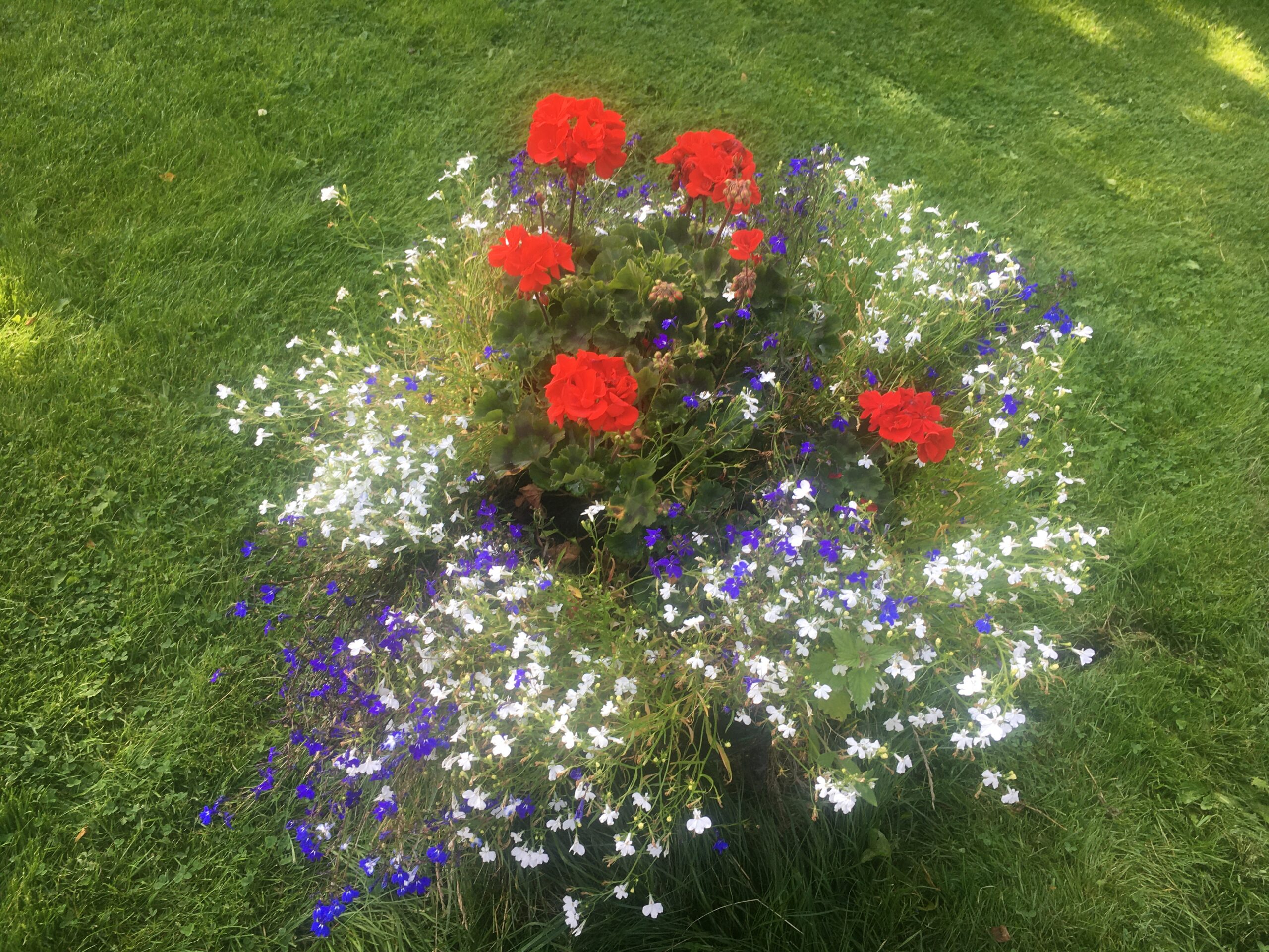 Glad midsommar önskar vi alla våra medlemmar och elbilsvänner