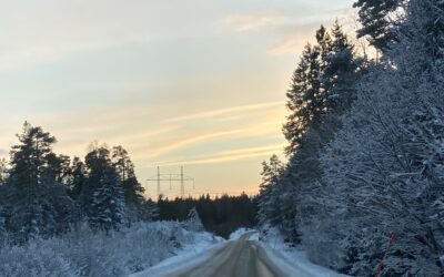 God Jul & Gott Nytt Elbilsår önskar vi alla våra elbilsvänner