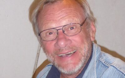 En ledstjärna för elbilar, solfångare och solceller har slocknat